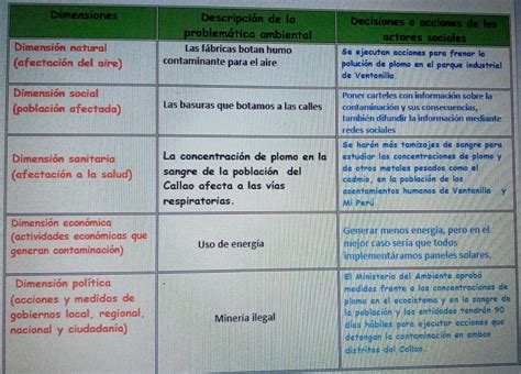 Ahora elaboramos un cuadro para describir la problemática ambiental en