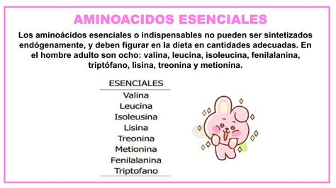 Metabolismo De Compuestos Nitrogenados Bioqu Mica Ppt