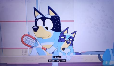 Wife Paused The Episode At The Perfect Spot Rbluey