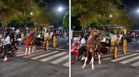 Viral Detik Detik Kuda Delman Bermanuver Gegara Emak Emak Naik Motor