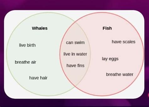 Venn Diagram Of Differences And Similarities Venn Diagram Of