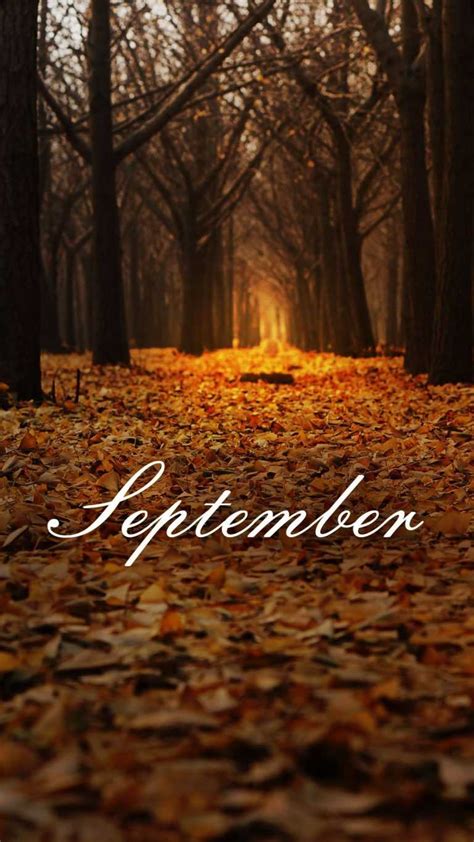 September Wallpaper - iXpap