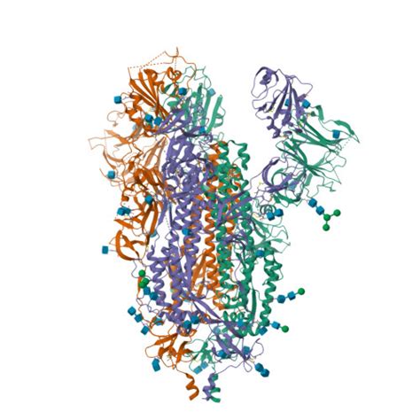 RCSB PDB 8EPP Cryo EM Structure Of SARS CoV 2 Spike Trimer S2D14