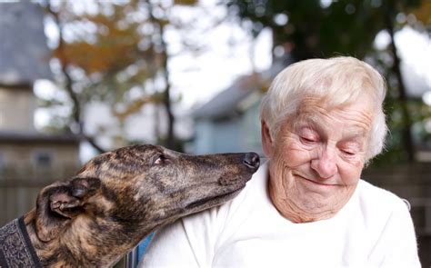 Best Dog Breeds for the Elderly | Canna-Pet®