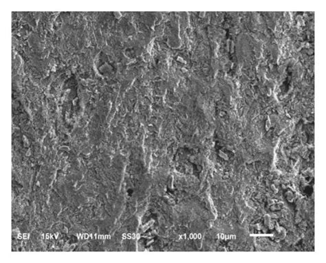 Sem Micrographs Of The Mild Steel Surface In M H So With Aa A