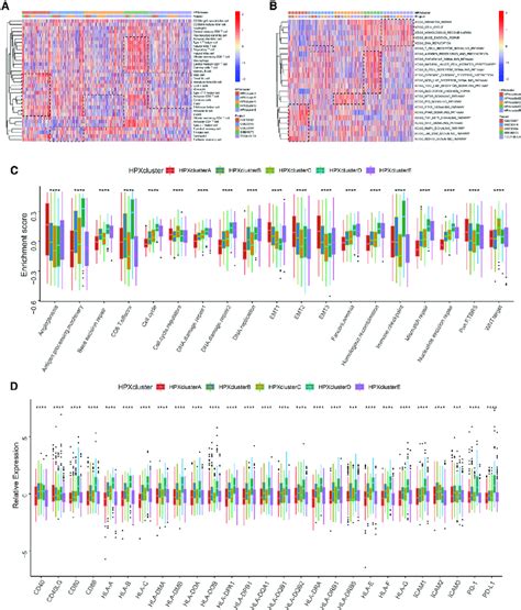 Tme Immune Cell Infiltration And Biological Process Characteristics In