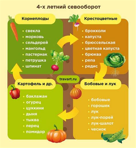 Тыква Зимняя сладкая. Описание сорта, фото, отзывы