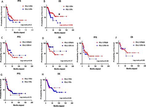 Prevalence And Prognostic Significance Of Pd L Tim And B H