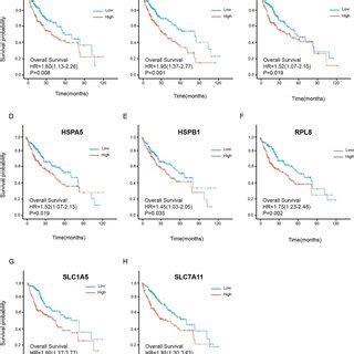 The Expression Of Ferroptosis Related Genes And Consensus Cluster A