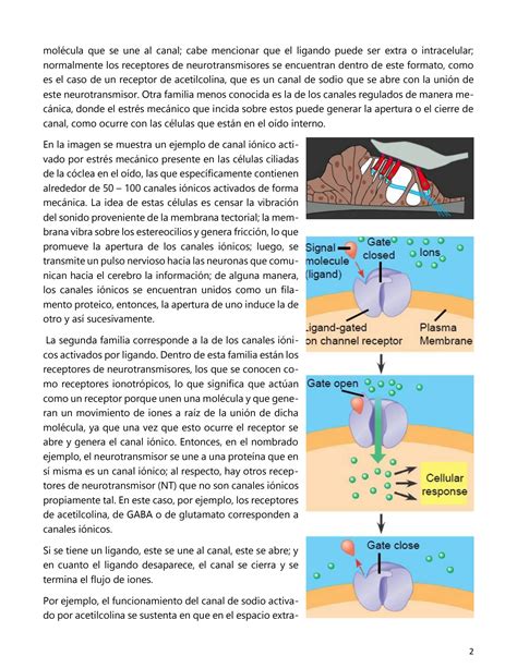 Solution Canales I Nicos Y Propiedades El Ctricas Studypool