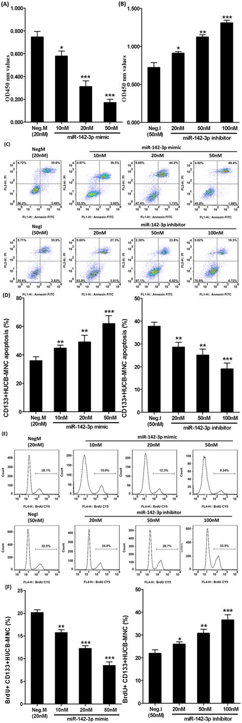 Mirna 142 3p Mimic Increased Radiosensitivity In Cd133hucb Mnc Cells