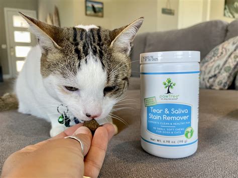 PawTree Tear Saliva Stain Remover Chews Review 2025 A Detailed Look