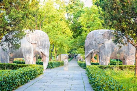 Elephant Road of the Ming Xiaoling Mausoleum Stock Photo - Image of ...