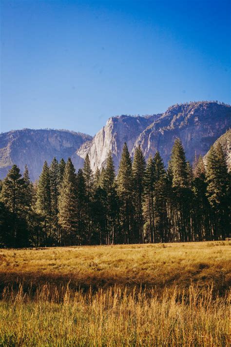 California Roadtrip First Timers Guide To Yosemite The Styling