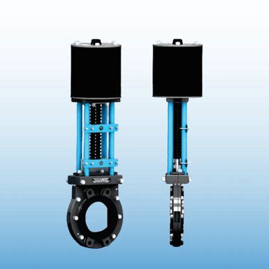 Insamcor Knife Gate Valve