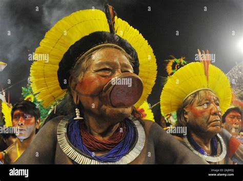 Indian Cacique Hi Res Stock Photography And Images Alamy