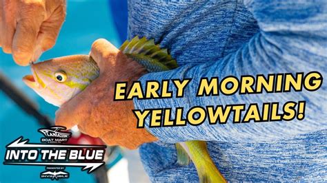 Do You Want To Catch Key West Yellowtails And Cero On Fly Into The