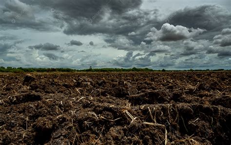 Campo arado da agricultura Campo arado de solo preto céu