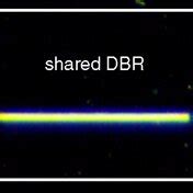 Image Of The Fabricated Symmetric Multisection Multimode Lasers In