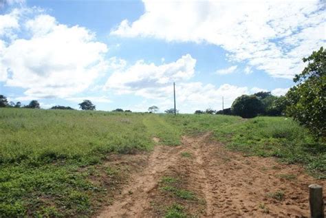 FAZENDA DUPLA APTIDÃO À VENDA EM DOM AQUINO MT Fazendas Mato Grosso