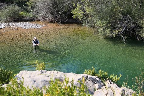 Best Fishing Spots In Shelby County Alabama Fishmasters