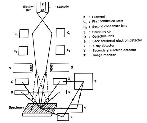 Schematic Diagram Of Sem