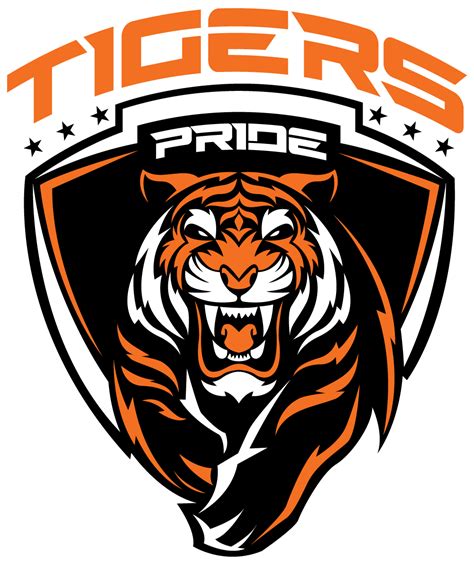 2022 Tigers 4 Brisbane East Netball Tigers