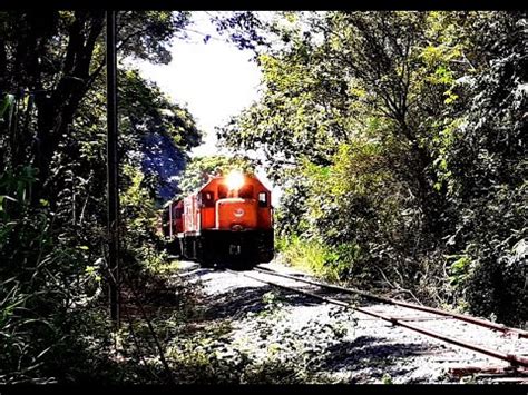 Sobe E Desce De Trens No Ramal Do Sert O Graneleiro Cargueiro E