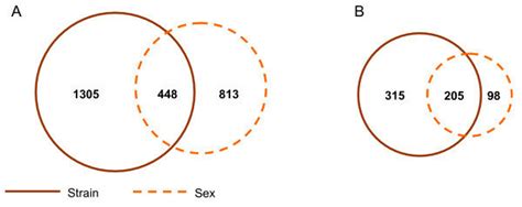 Genes Showing Both Strain And Sex Biased Effects Venn Diagrams