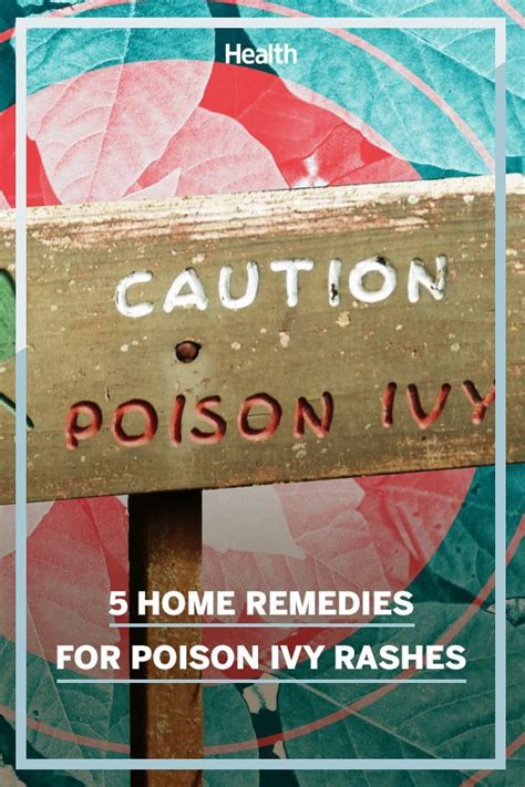 Home Remedies For Poison Ivy Oak And Sumac Rashes You Should Know