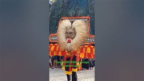 Barongan Reog Sakti Shorts Youtube