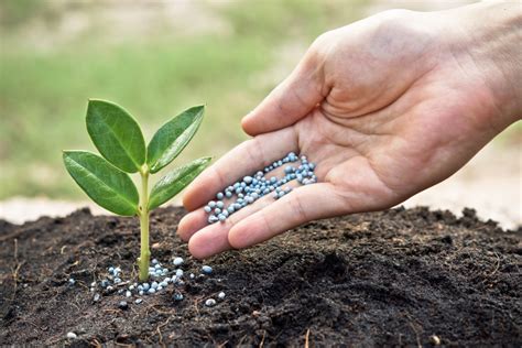 Fertilizantes Agricolas Archivos Silos Del Cinca