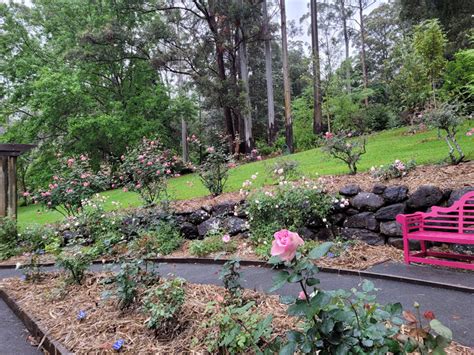 Tamborine Mountain Botanic Gardens | St Bernards Hotel