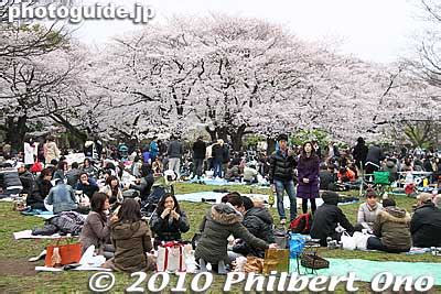 Yoyogi Park Yoyogi Park Is One Of The More Popular Parks For