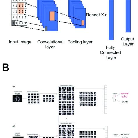 Convolutional Neural Networks Cnns A Cnn Algorithms Are A Feed Download Scientific Diagram