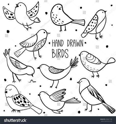 Bird Collection Collection Cute Hand Drawn Stock Vector Royalty Free