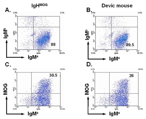 Mog Binding By Transgenic B Cells From Devic Mice And Single