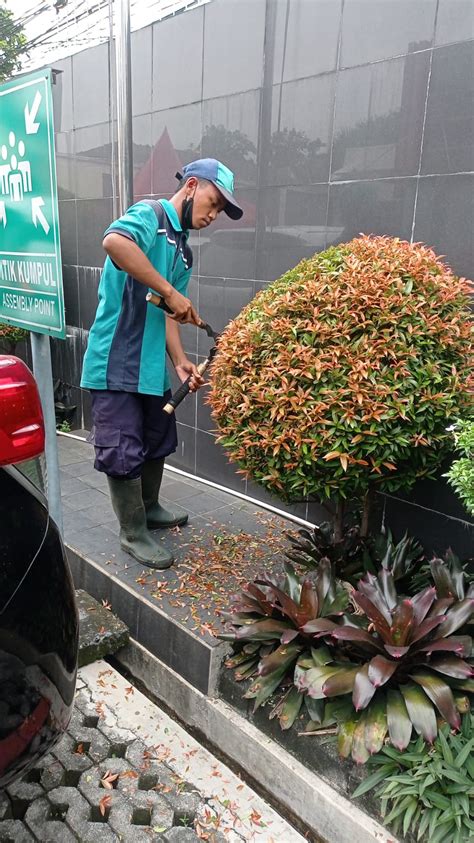 Jual Perawatan Taman Merapikan Tanaman Gardener Asuransi Bintang 22 10