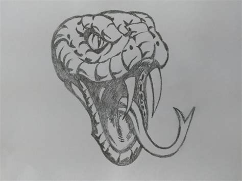 Drawings Of Snake Heads