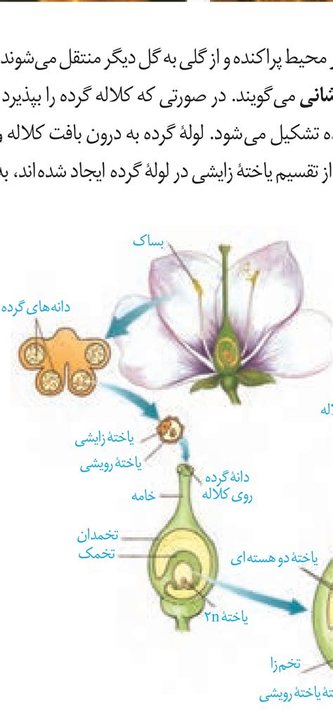 تدریس زیست شناسی یازدهم تجربی کنکور آکادمی امروز