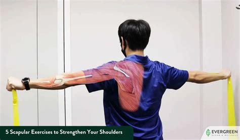 5 Scapular Exercises to Strengthen Your Shoulder