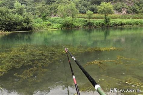 秋季野釣，最容易爆護的5類釣位，大小水面都有，漁獲一準爆棚 每日頭條