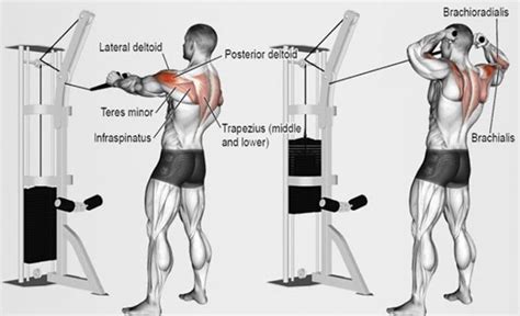 The Best Upright Row Alternative for Huge Shoulders and Massive Traps – Fitness Volt