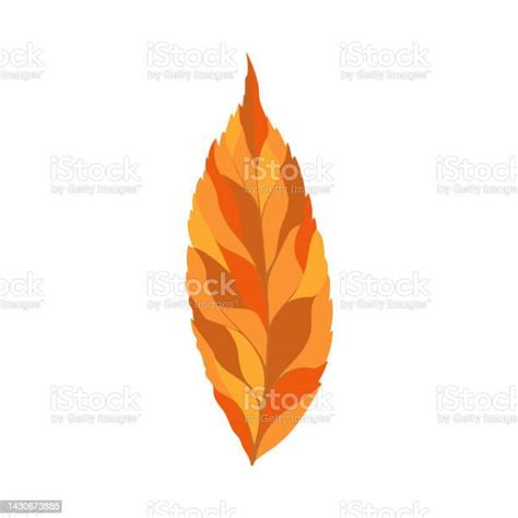 Ashtree Leaf Stock Illustration Download Image Now Ash Autumn Botany Istock