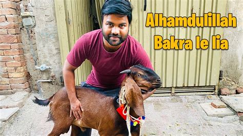 Alhamdulillah Bakra Le Lia Qurbani Ka Janwar Youtube