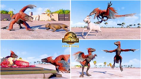 Pyroraptor All Perfect Animations And Interactions 🦖 Jurassic World