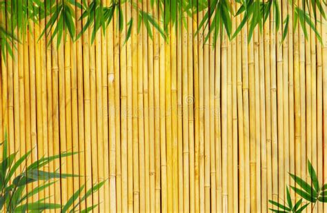 Light Golden Bamboo Background For Art Projects