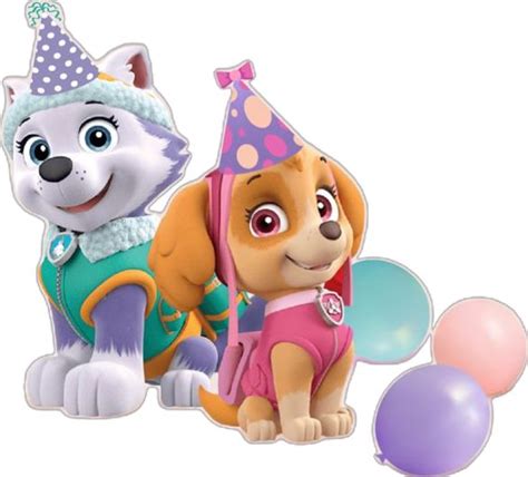 Pin by Lupiitä MG on Fiestas infantiles Everest paw patrol Skye paw