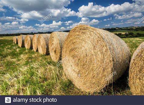 Haylage Bale Wrap High Resolution Stock Photography And Images Alamy