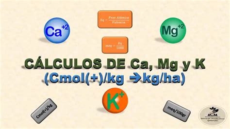 Interpretaci N De Resultados De An Lisis De Suelos C Lculos De Ca Mg